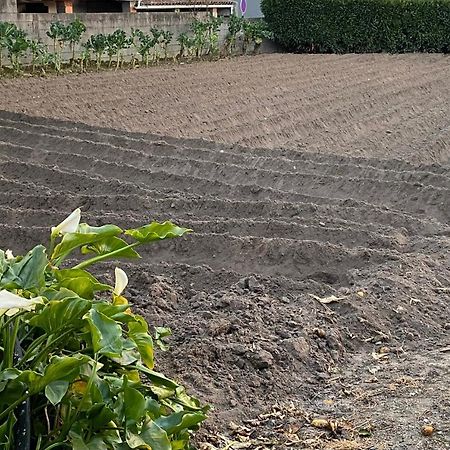 Juncal Casinha Da Avo Rosario公寓 外观 照片